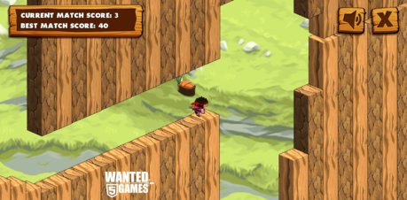 Cube Ninja - Screenshot
